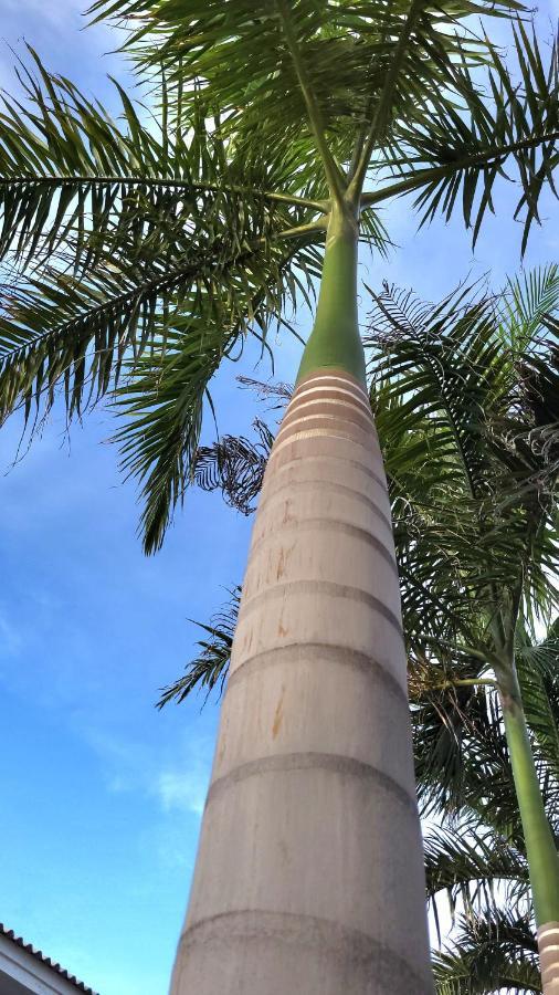 Maroons Place Lägenhet Willemstad Exteriör bild